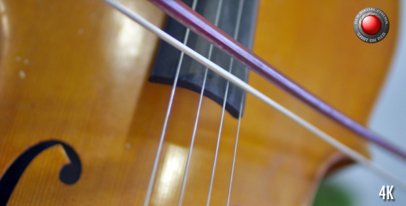 Violin 1 Violin 1