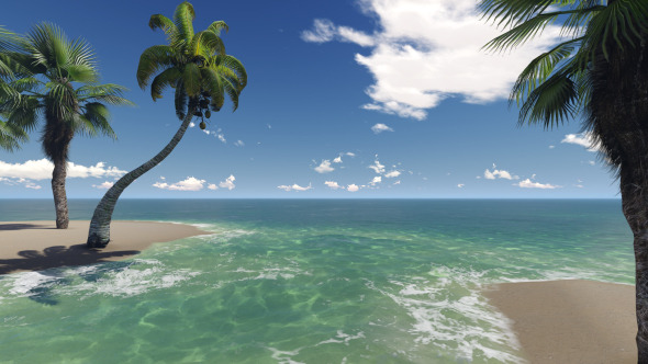 Tropical Heaven Tropical Heaven