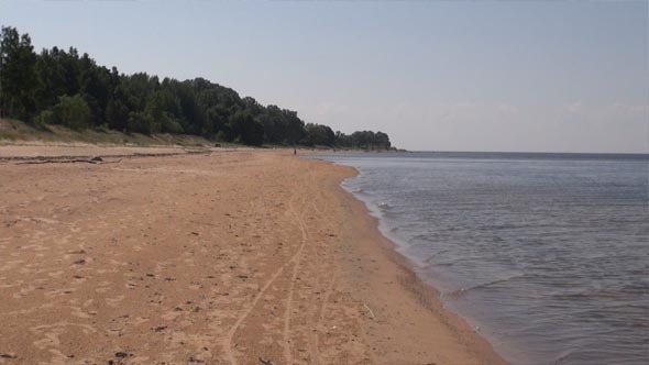 Summer Baltic Sea Shore Summer Baltic Sea Shore
