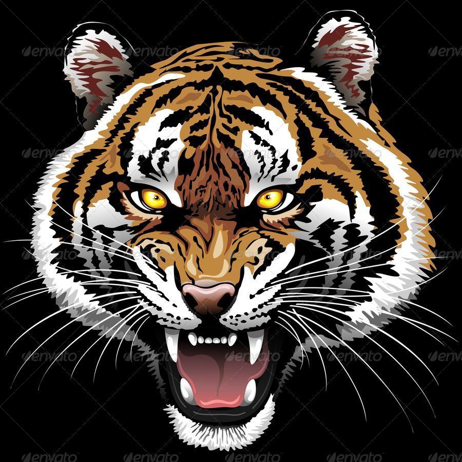 the tiger roar by bluedarkat graphicriver the tiger roar by bluedarkat graphicriver