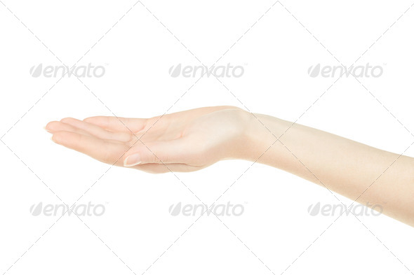 Woman hand open, empty palm up (Misc) Photo Download