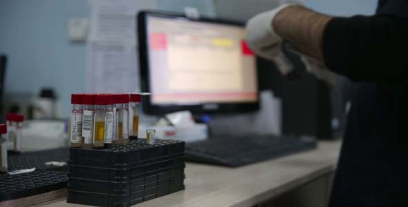 Scientist Testing Blood Samples In Laboratory Scientist Testing Blood Samples In Laboratory