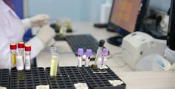 Scientist Testing Blood Samples In Laboratory Scientist Testing Blood Samples In Laboratory