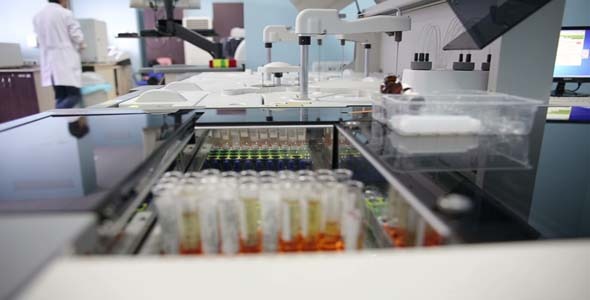 Testing Blood Samples In Laboratory Testing Blood Samples In Laboratory