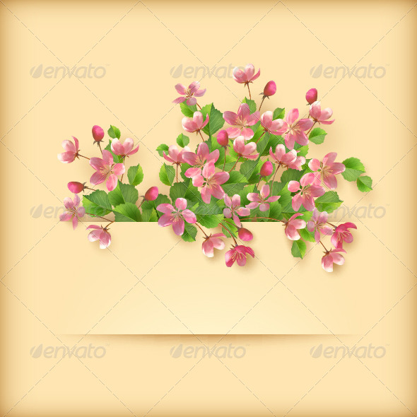 Pink Cherry Blossom Flowers Greeting Card Pink Cherry Blossom Flowers Greeting Card