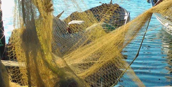 Fishermen Repairs Fishnets Fishermen Repairs Fishnets