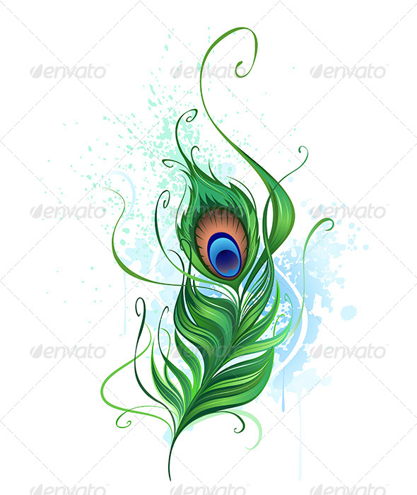 Peacock feather Peacock feather