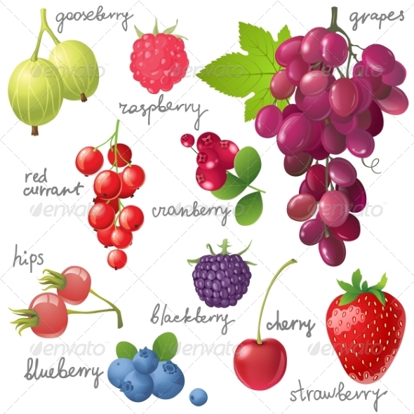 Berries Set Berries Set
