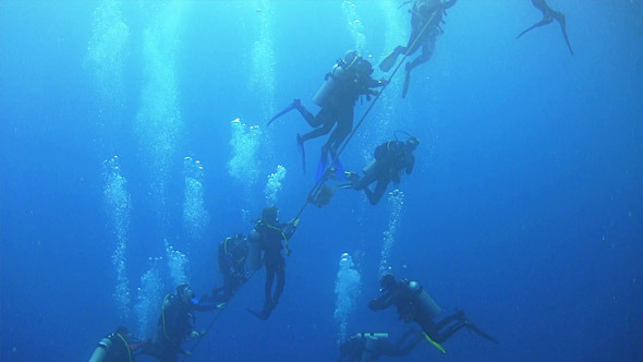 Group of Divers Preparing to Dive 668 Group of Divers Preparing to Dive 668