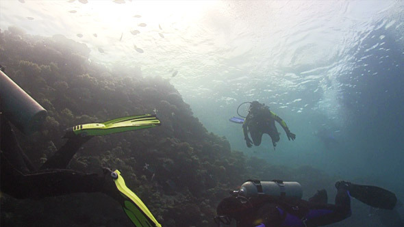 Group of Divers Make to Dive 673 Group of Divers Make to Dive 673