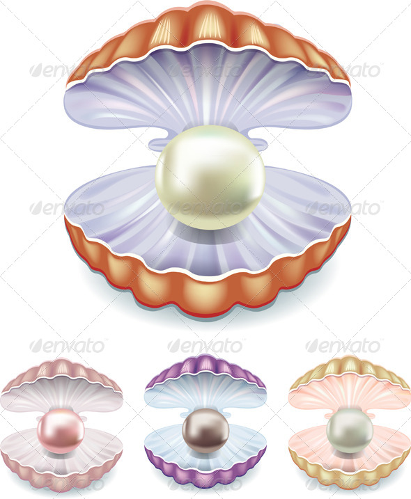 Set of Pearls in Shells Set of Pearls in Shells