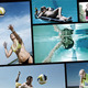 Sports Photo Intro Sports Photo Intro - VideoHive Item for Sale