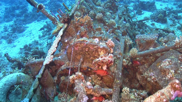 Shipwreck on the Seabed 717 Shipwreck on the Seabed 717