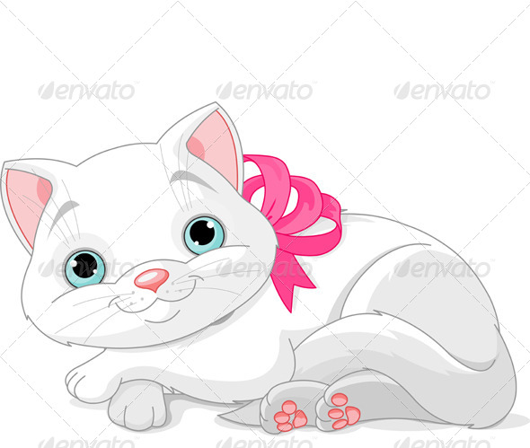 Cute White Cat Cute White Cat