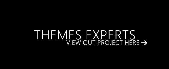 themesexpert