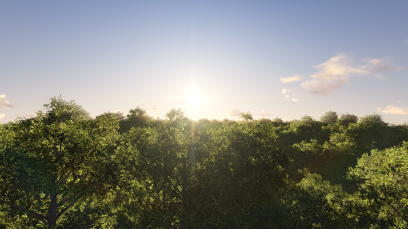 Fly Over Trees V2 Fly Over Trees V2