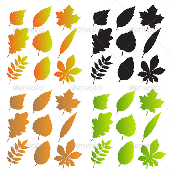 Silhouettes of Leaves Silhouettes of Leaves