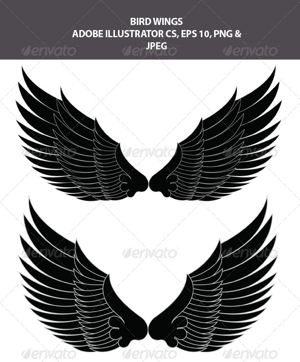 Bird Wings Bird Wings