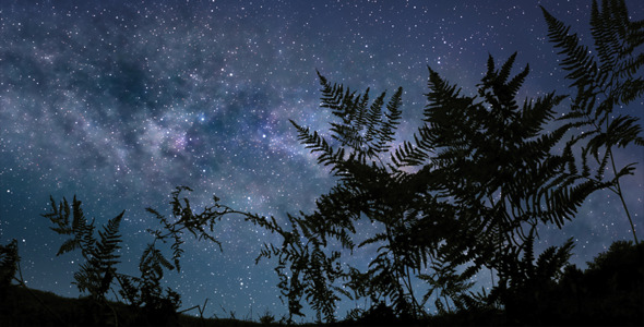 Calm Starry Night Calm Starry Night