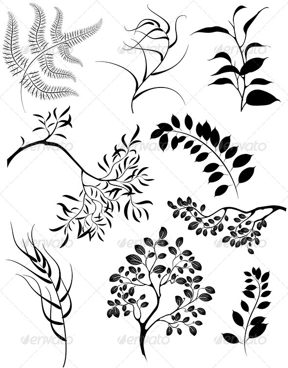Silhouettes of Branches and Plants Silhouettes of Branches and Plants