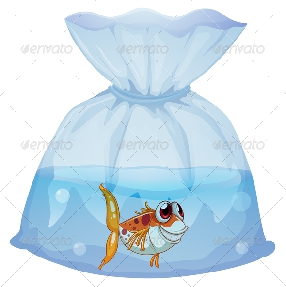 Fish inside plastic bag Fish inside plastic bag