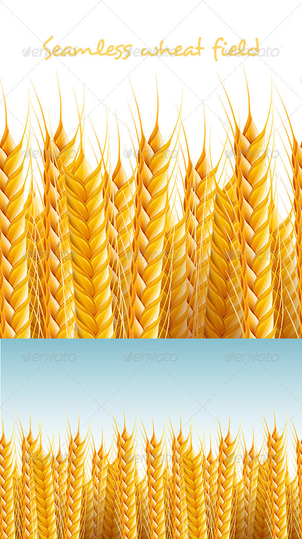 Seamless Wheat Field Background Seamless Wheat Field Background