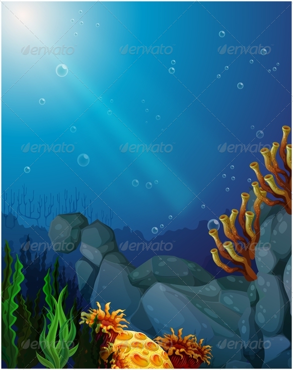 Corals and seaweed under the sea Corals and seaweed under the sea