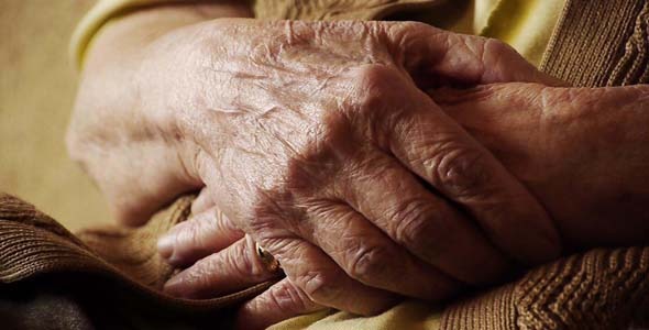 Senior Old Woman Hand With Wrinkle Skin Senior Old Woman Hand With Wrinkle Skin