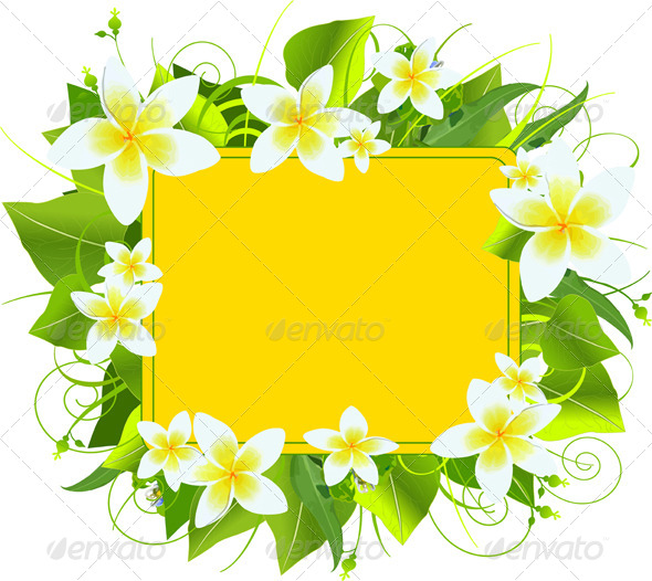 Summer Frame Summer Frame