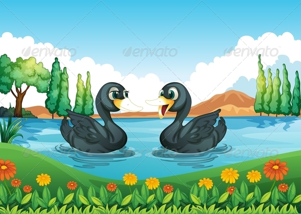 River with two ducks River with two ducks
