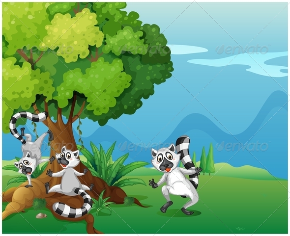 Playful Lemurs Playful Lemurs