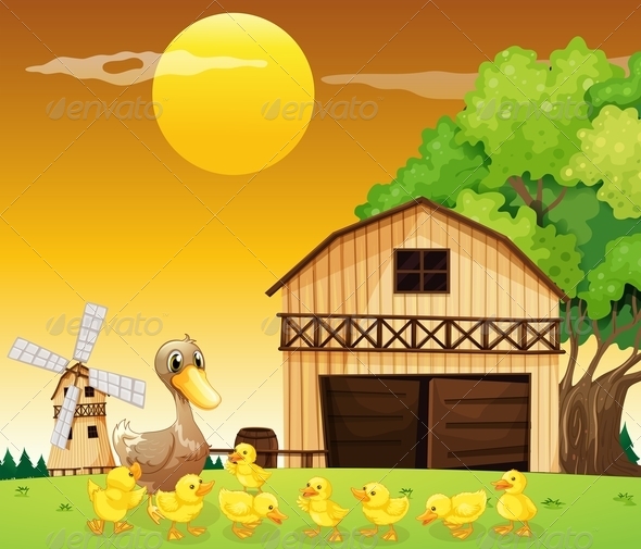 Duck and her ducklings at the farmhouse Duck and her ducklings at the farmhouse