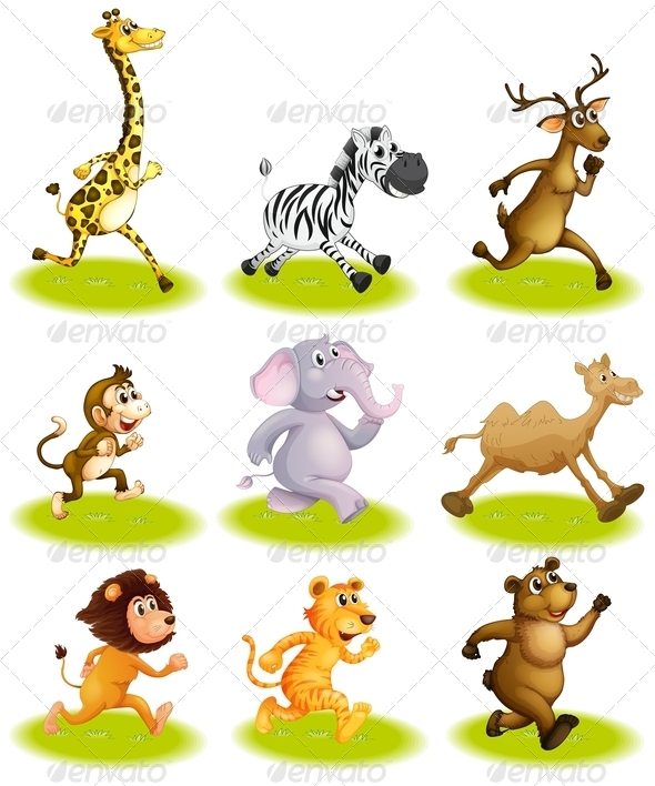 Running Animals Running Animals