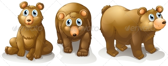 Three brown bears Three brown bears