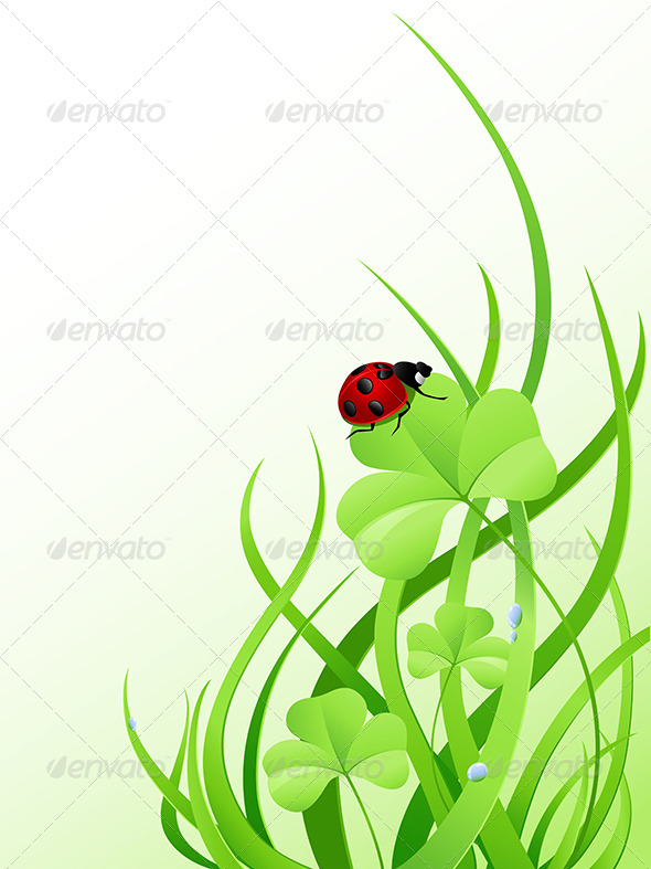 Green Grass and Ladybird Green Grass and Ladybird
