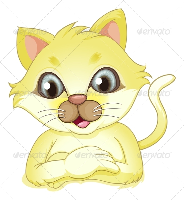 Yellow Cat Yellow Cat