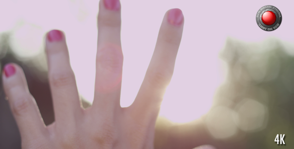 Hand in the Sun 2 Hand in the Sun 2