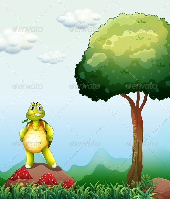 Turtle Standing Standing on Rock Turtle Standing Standing on Rock