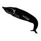 ifellintoawhale