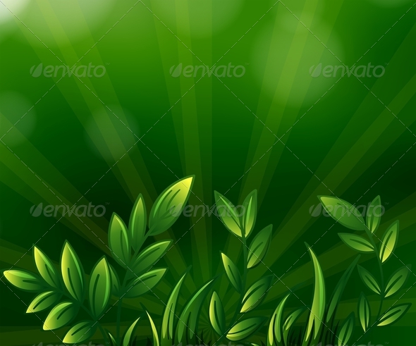Green Leafy Plants Green Leafy Plants