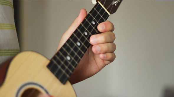 Ukulele Musical Instrument Ukulele Musical Instrument