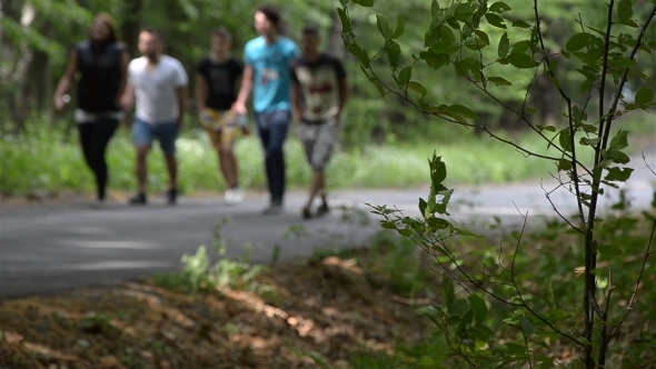 People Walking in the Woods 02 People Walking in the Woods 02