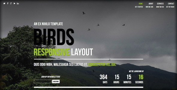 Birds || Responsive Coming Soon Page