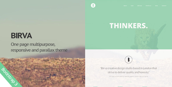 Birva -  Creative One Page Template