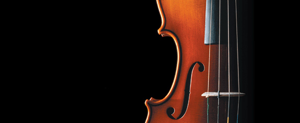Violin%20gradient2