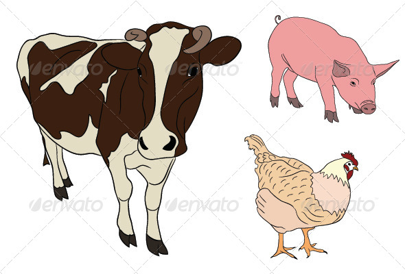 Farm Animals Farm Animals