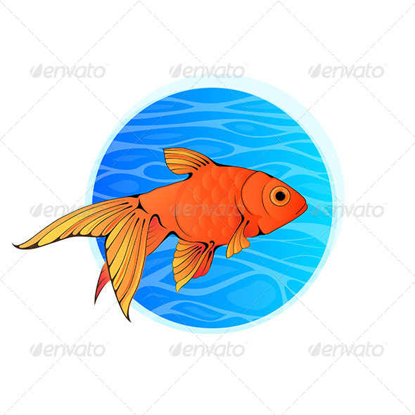 Little Goldfish in Blue Water Little Goldfish in Blue Water