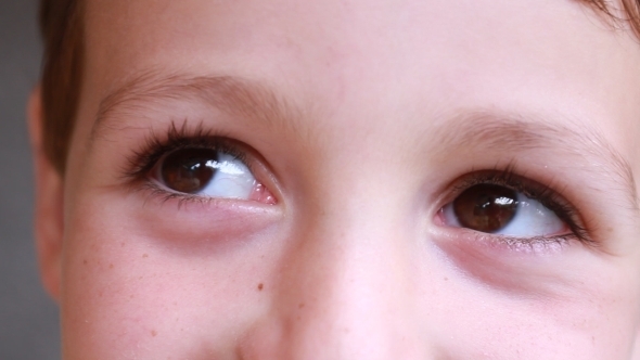 Brown Eyes of a Little Boy 01 Brown Eyes of a Little Boy 01