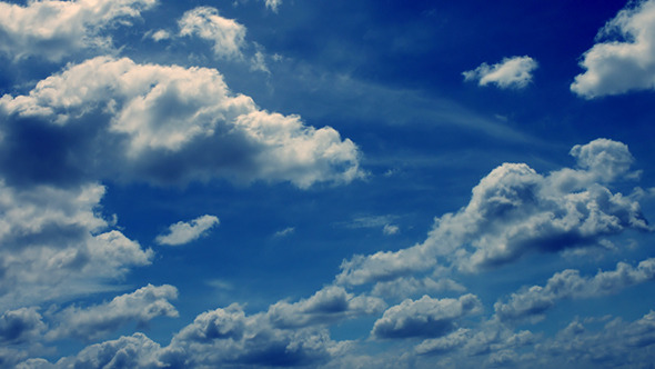 Tropical Sky Tropical Sky