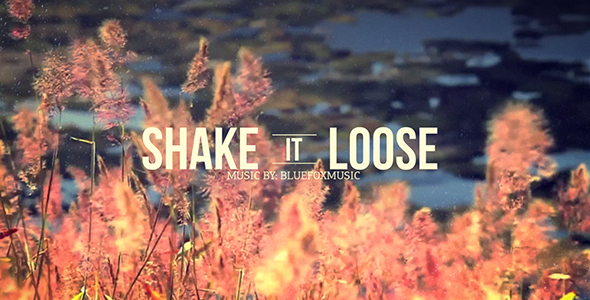 Shake It Loose Shake It Loose